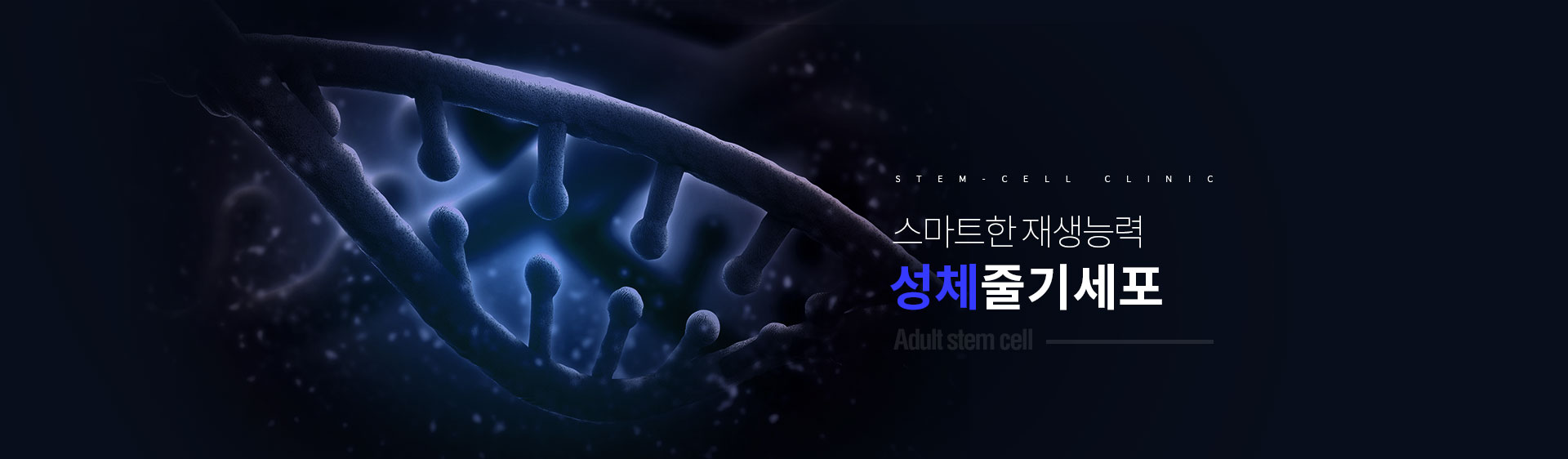서브상단이미지